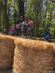 Surprise piquante 0021