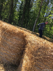 Surprise piquante 0022