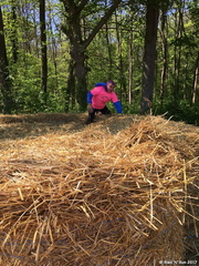 Surprise piquante 0025